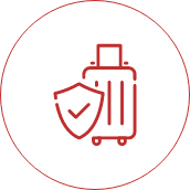 Holiday Travel Icon