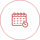 Holiday Travel Icon